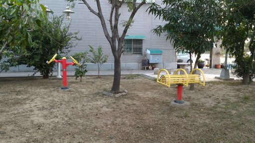 成人活動器材