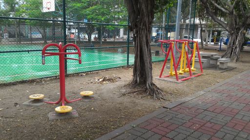 成人活動器材