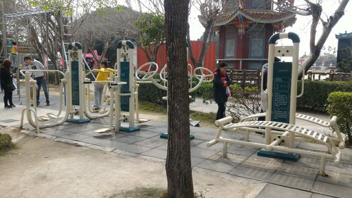成人活動器材
