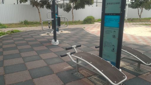 成人活動器材