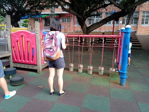 平衡木