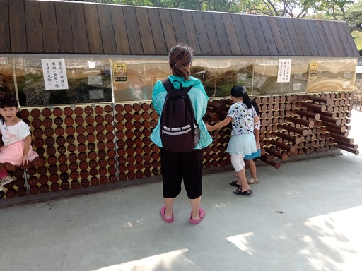 伸縮木樁